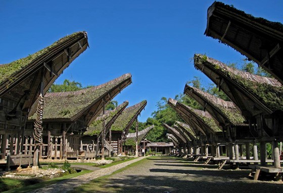 Bali e Sulawesi